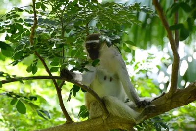 DSC_7913 (Large).JPG